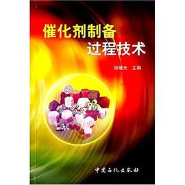 催化剂制备过程技术 pdf epub mobi 电子书 下载