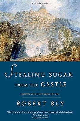 Stealing Sugar from the Castle pdf epub mobi 電子書 下載