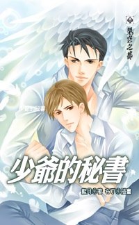 少爷的秘书 pdf epub mobi 下载