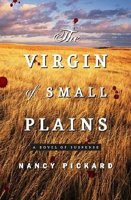 The Virgin of Small Plains pdf epub mobi 电子书 下载