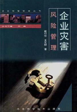 预警管理  企业灾害风险管理 pdf epub mobi 电子书 下载