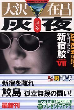 灰夜 pdf epub mobi 电子书 下载
