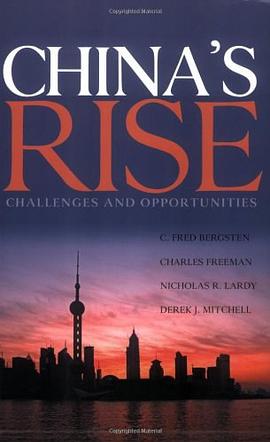 China's Rise pdf epub mobi 电子书 下载