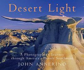 Desert Light pdf epub mobi 电子书 下载