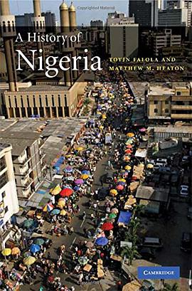 A History of Nigeria pdf epub mobi 电子书 下载