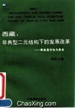 西藏：非典型二元结构下的发展改革 pdf epub mobi 电子书 下载
