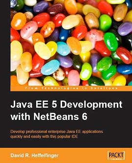 Java EE 5 Development with NetBeans 6 pdf epub mobi 电子书 下载