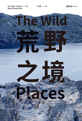 荒野之境 pdf epub mobi 电子书 下载