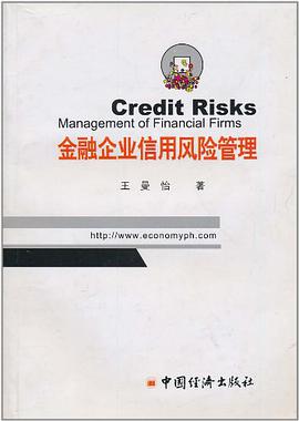 金融企业信用风险管理 pdf epub mobi 电子书 下载