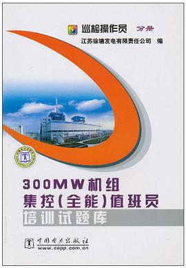 300MW机组集控 pdf epub mobi 电子书 下载