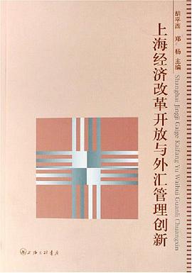 上海经济改革开放与外汇管理创新 pdf epub mobi 下载