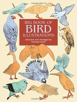 Big Book of Bird Illustrations pdf epub mobi 電子書 下載