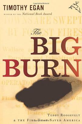 The Big Burn pdf epub mobi 电子书 下载