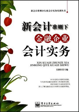 新会计准则下金融企业会计实务 pdf epub mobi 电子书 下载