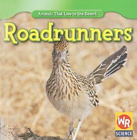 Roadrunners pdf epub mobi 电子书 下载