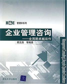 企业管理咨询 pdf epub mobi 电子书 下载