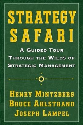 Strategy Safari pdf epub mobi 电子书 下载