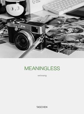 Meaningless pdf epub mobi 电子书 下载