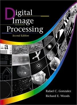 Digital Image Processing (2nd Edition) pdf epub mobi 電子書 下載