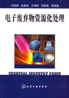 电子废弃物资源化处理 pdf epub mobi 下载