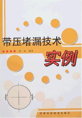 带压堵漏技术实例 pdf epub mobi 电子书 下载