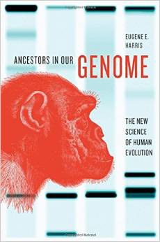 Ancestors in Our Genome pdf epub mobi 电子书 下载
