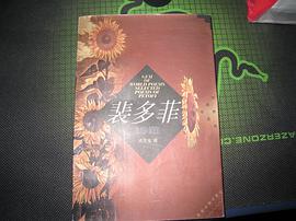 裴多菲诗选 pdf epub mobi 下载