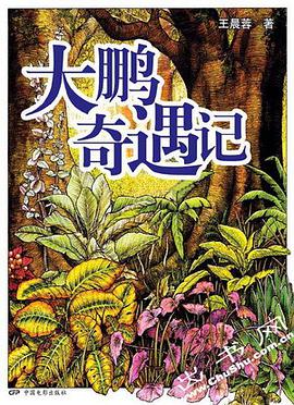 大鵬奇遇記 pdf epub mobi 電子書 下載