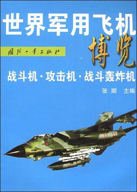 世界军用飞机博览 pdf epub mobi 电子书 下载