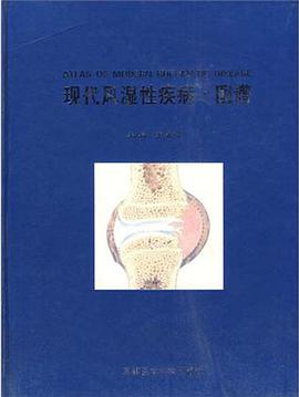 现代风湿性疾病.图谱 pdf epub mobi 电子书 下载