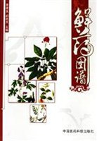 鲜药图谱 pdf epub mobi 电子书 下载