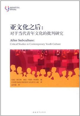 亚文化之后 pdf epub mobi 电子书 下载