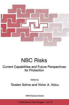 NBC Risks pdf epub mobi 电子书 下载