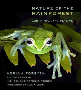 Nature of the Rainforest pdf epub mobi 电子书 下载