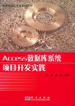 Access数据库系统项目开发实践