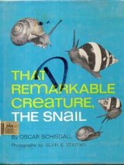That Remarkable Creature， the Snail. pdf epub mobi 电子书 下载