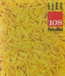 专业底纹108 pdf epub mobi 电子书 下载