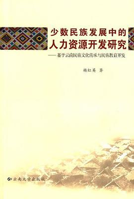 少数民族发展中的人力资源开发研究 pdf epub mobi 电子书 下载