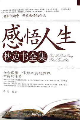 感悟人生枕边书全集 pdf epub mobi 电子书 下载