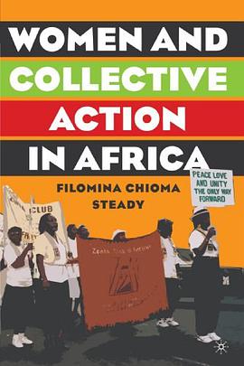 Women And Collective Action in Africa pdf epub mobi 电子书 下载