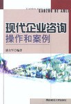 现代企业咨询操作和案例 pdf epub mobi 电子书 下载