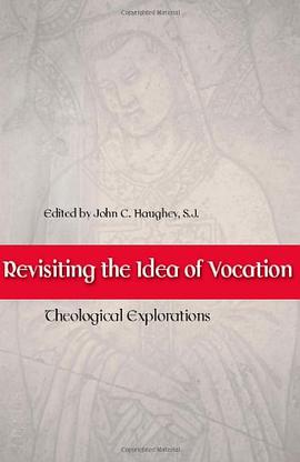 Revisiting the Idea of Vocation pdf epub mobi 电子书 下载