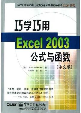巧学巧用Excel 2003公式与函数（中文版） pdf epub mobi 电子书 下载