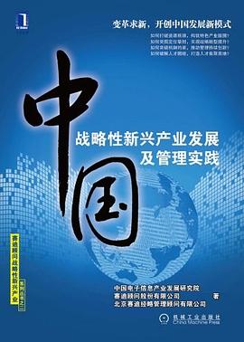 中国战略性新兴产业发展及管理实践 pdf epub mobi 电子书 下载