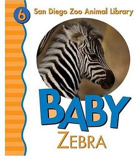 Baby Zebra pdf epub mobi 电子书 下载