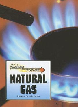 Natural Gas pdf epub mobi 电子书 下载