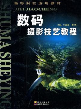 数码摄影技艺教程 pdf epub mobi 电子书 下载