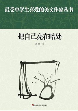 中学生美文：把自己亮在暗处 pdf epub mobi 电子书 下载
