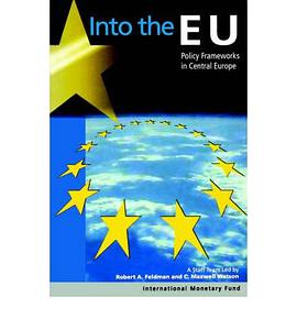 Into the Eu pdf epub mobi 电子书 下载