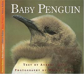 Baby Penguin pdf epub mobi 下载
